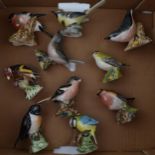 Beswick Birds to include a Nuthatch, a Goldcrest, a Robin and others (10). In good condition with no