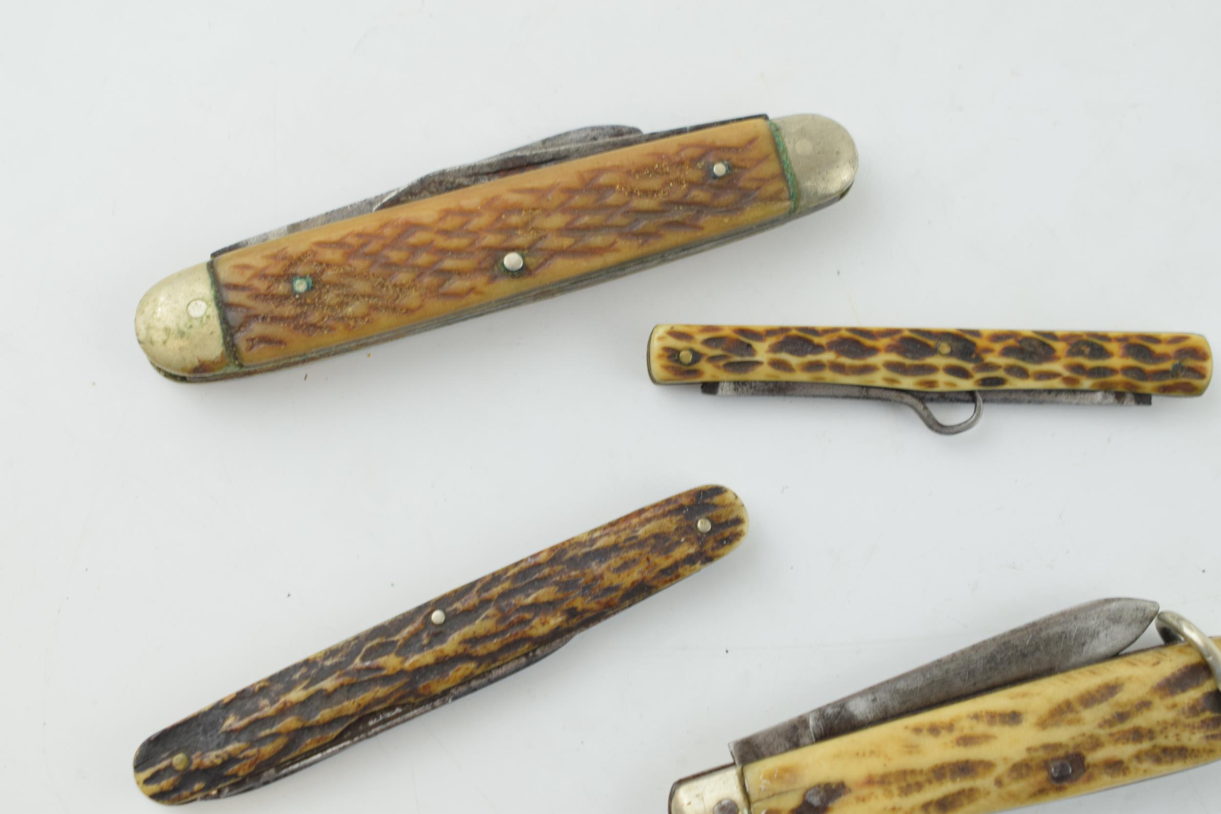 A collection of horn handled pocket knives to include single and double blade examples by - Image 2 of 4