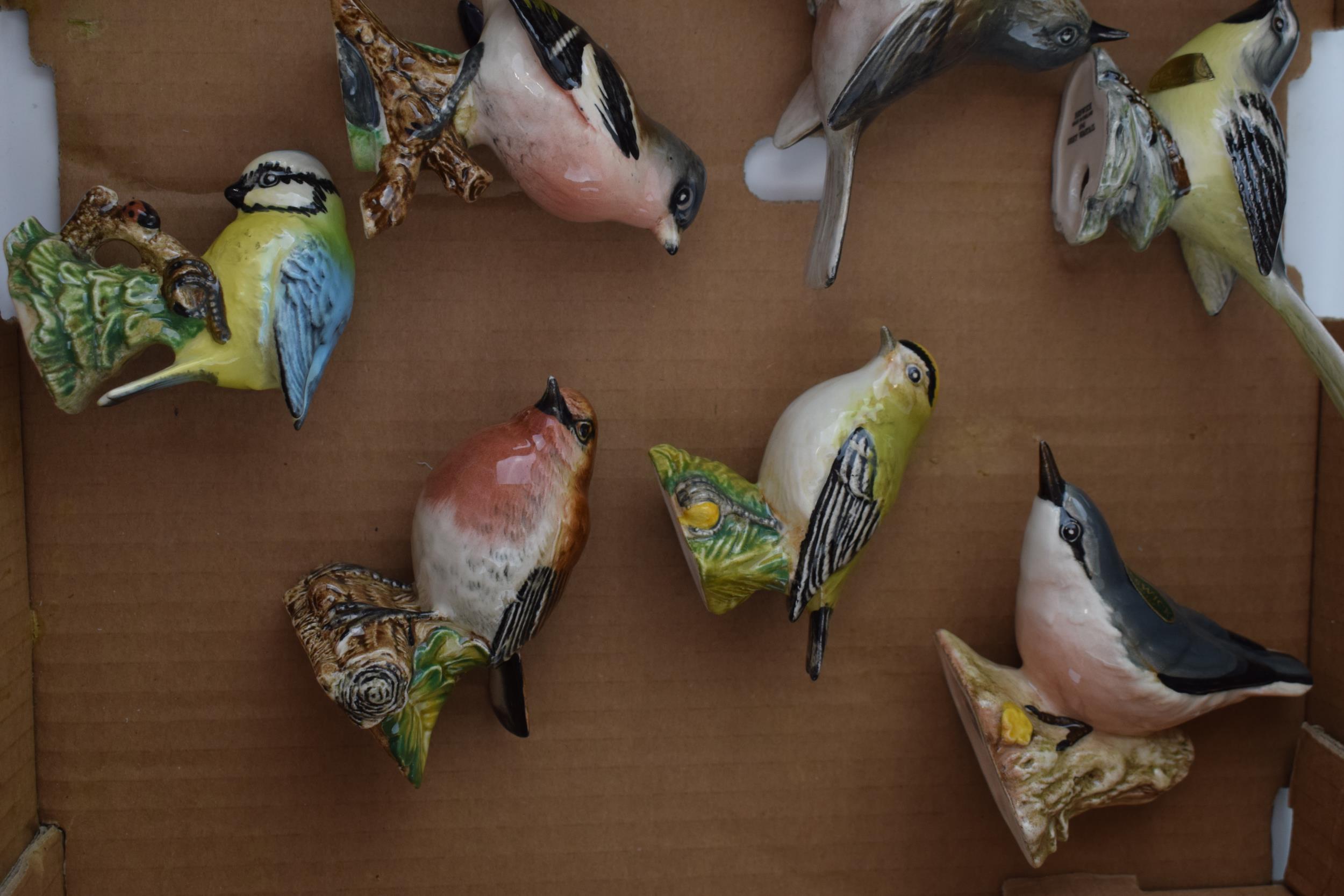 Beswick Birds to include a Nuthatch, a Goldcrest, a Robin and others (10). In good condition with no - Image 3 of 3