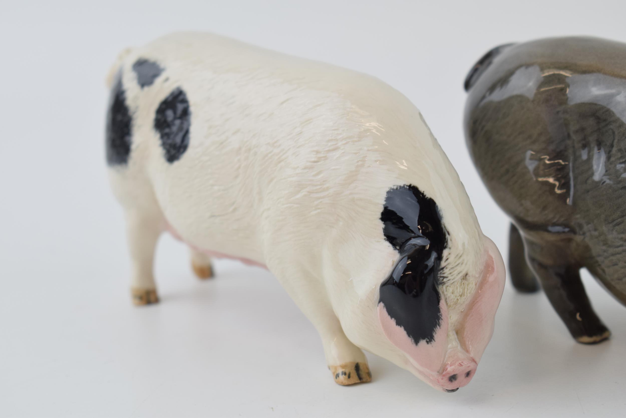 A trio of Royal Doulton pigs to include the Vietnamese Pot Bellied pig, a White Boar and a - Image 4 of 4