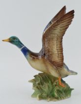 Jema of Holland model of a mallard in flight, 28cm tall. In good condition with no obvious damage or