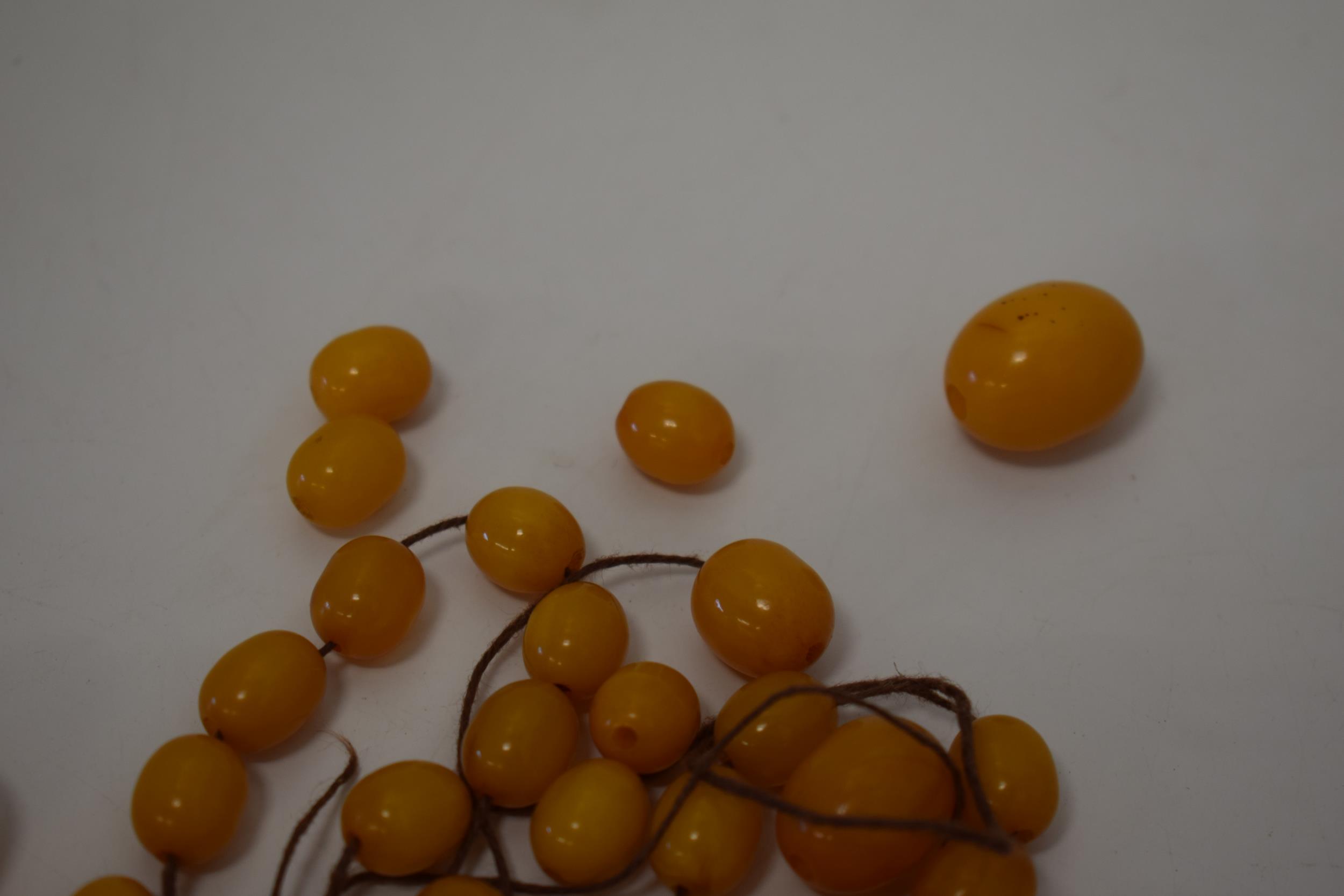 Butterscotch amber similar graduated necklace beads. Weight 84 grams. beads good but a/f have become - Image 11 of 11
