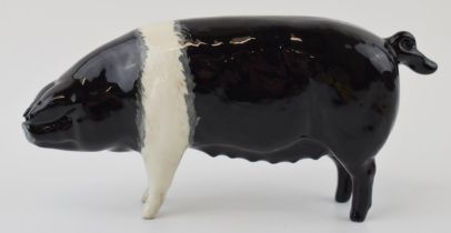 Beswick Saddleback Boar 1512 (nip to ear). Good condition but there is a nip to the right ear.