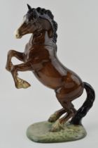 Beswick rearing Welsh Cob in brown 1014. In good condition with no obvious damage or restoration.