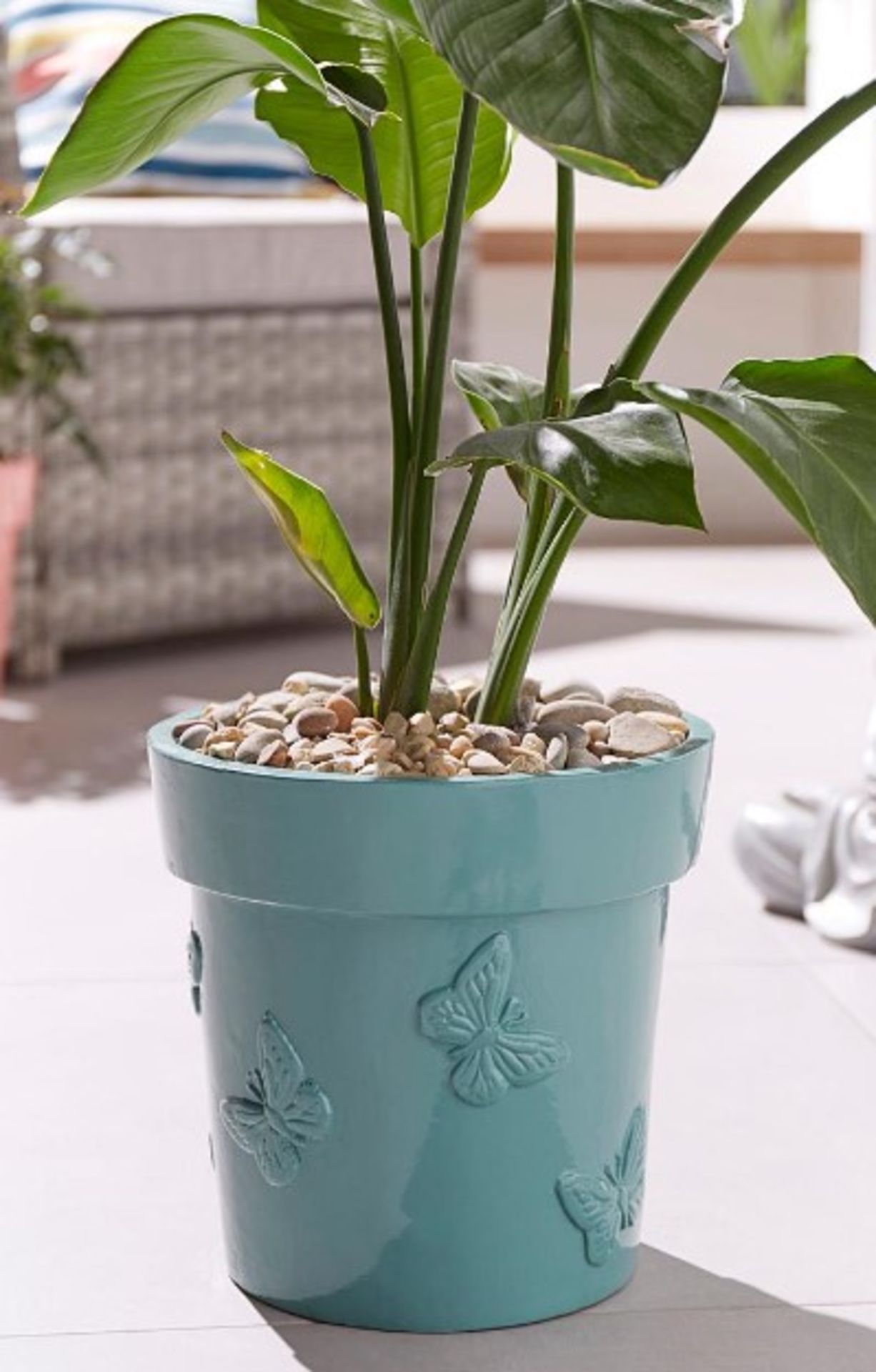 RRP £32 - BUTTERFLY EMBOSSED PLANTER FW4396 01