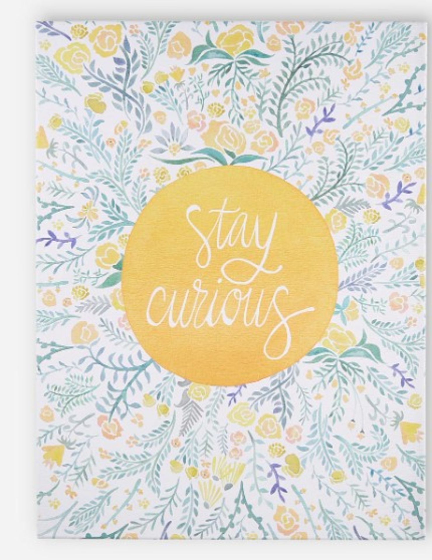RRP £40 - Stay Curious Canvas UD1780