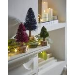 RRP £12 - Bristlebrush Christmas Trees - Set of 3