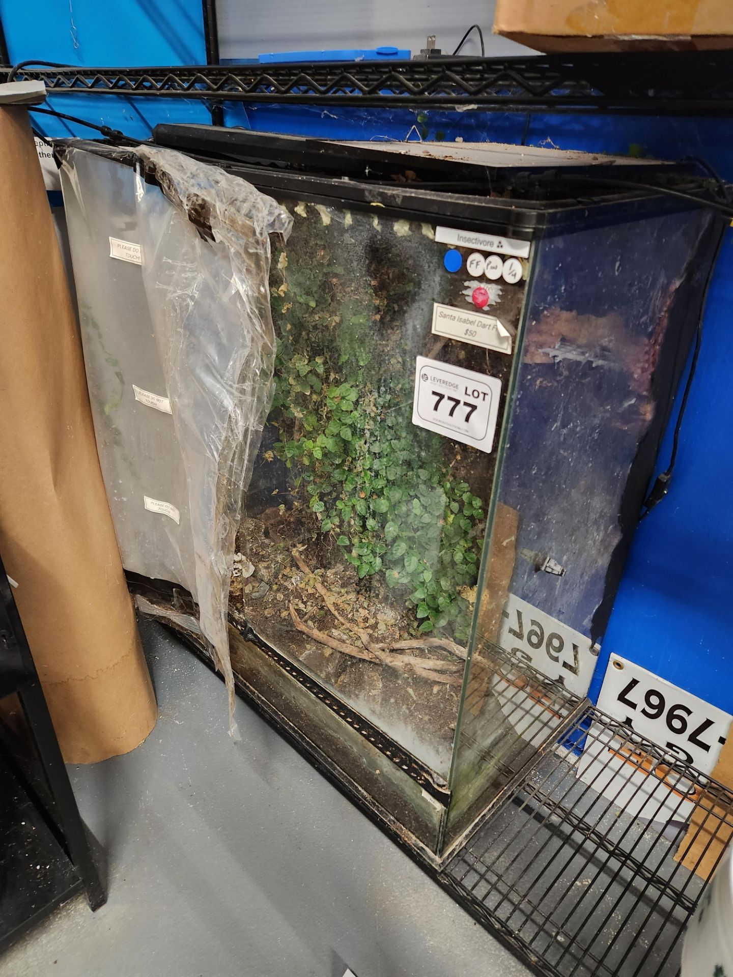 Used Terrarium approx 35.5"x18"x36"