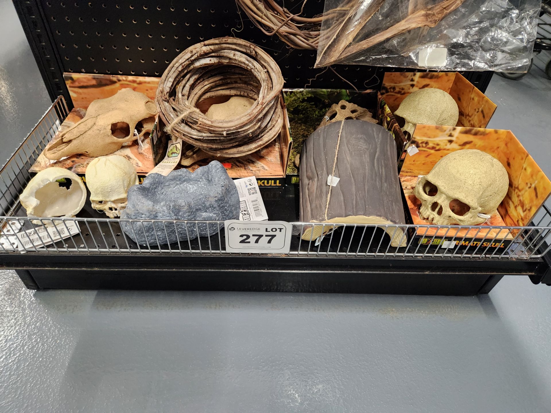 Lot of Assorted Terrarium Décor