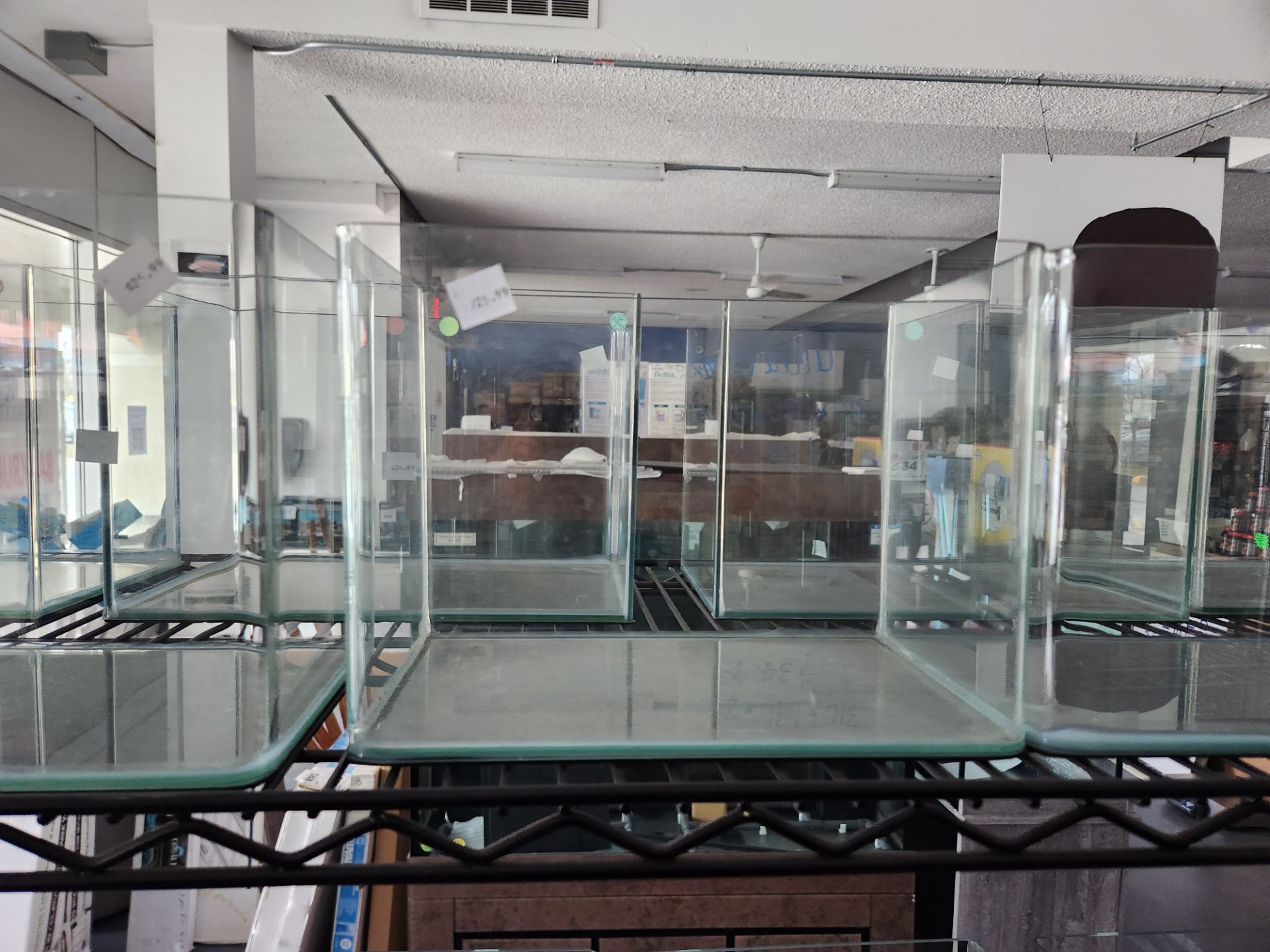 Lot of (5) Ultra-Clear Glass Tanks - Varying Sizes - Image 3 of 4