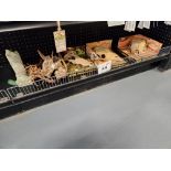 Lot of Reptile Enclosure Décor