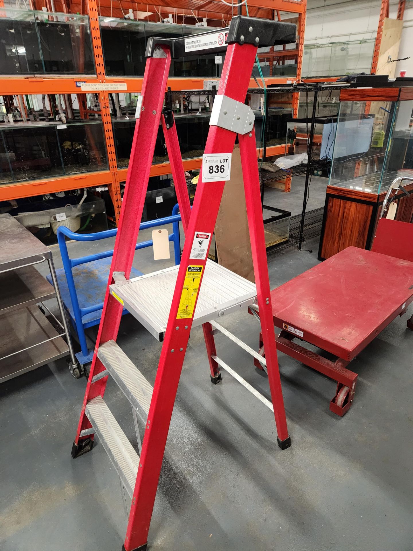 3 Step Ladder