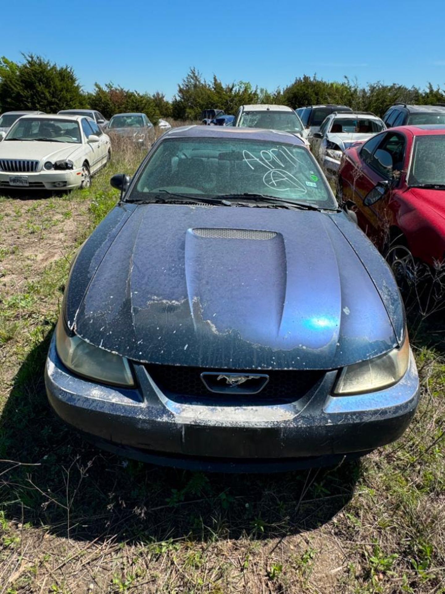 2001 FORD MUSTANG - Image 2 of 7