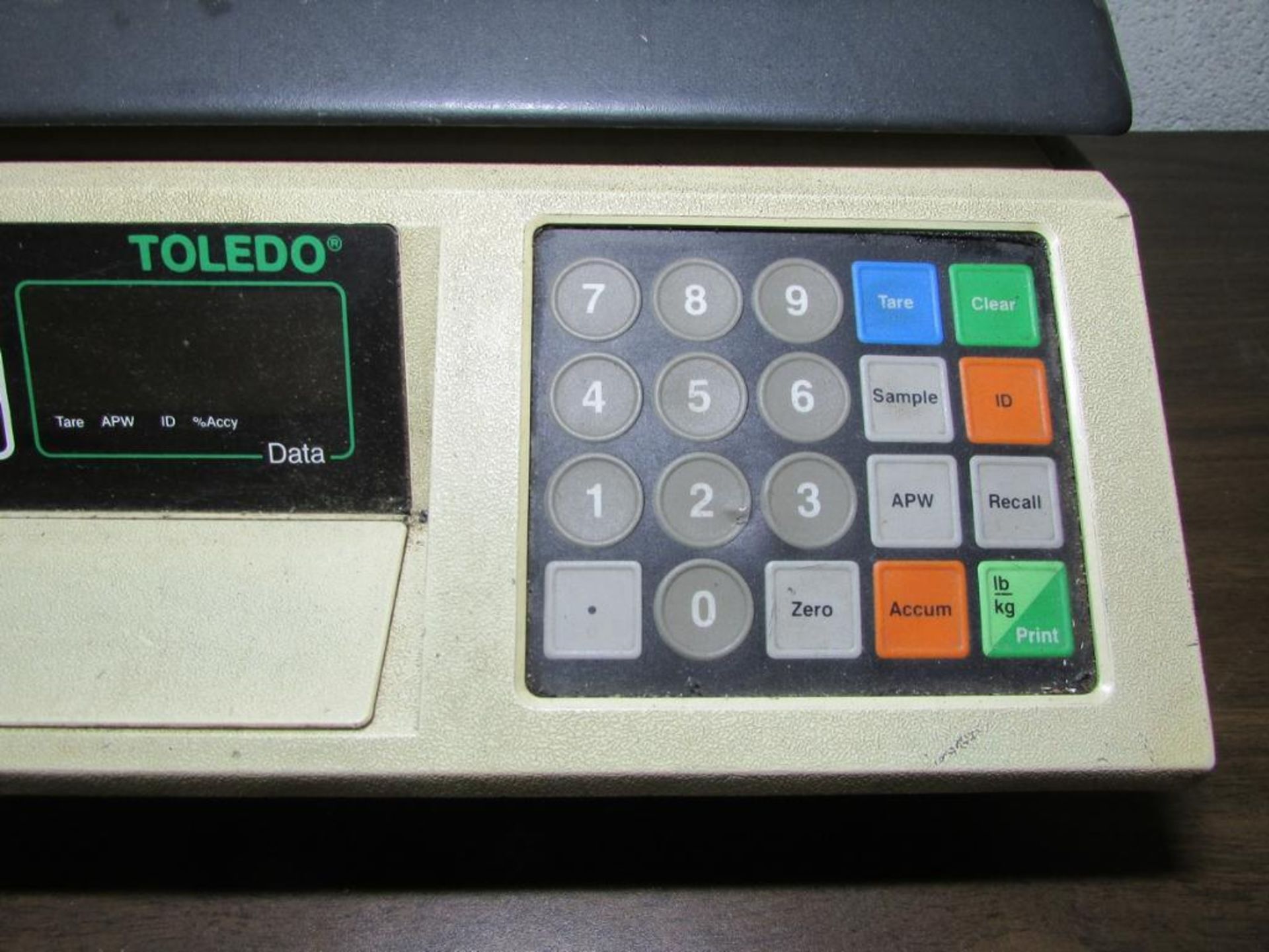 Toledo 8581 50-Lb. Digital Counting Scale - Image 4 of 6