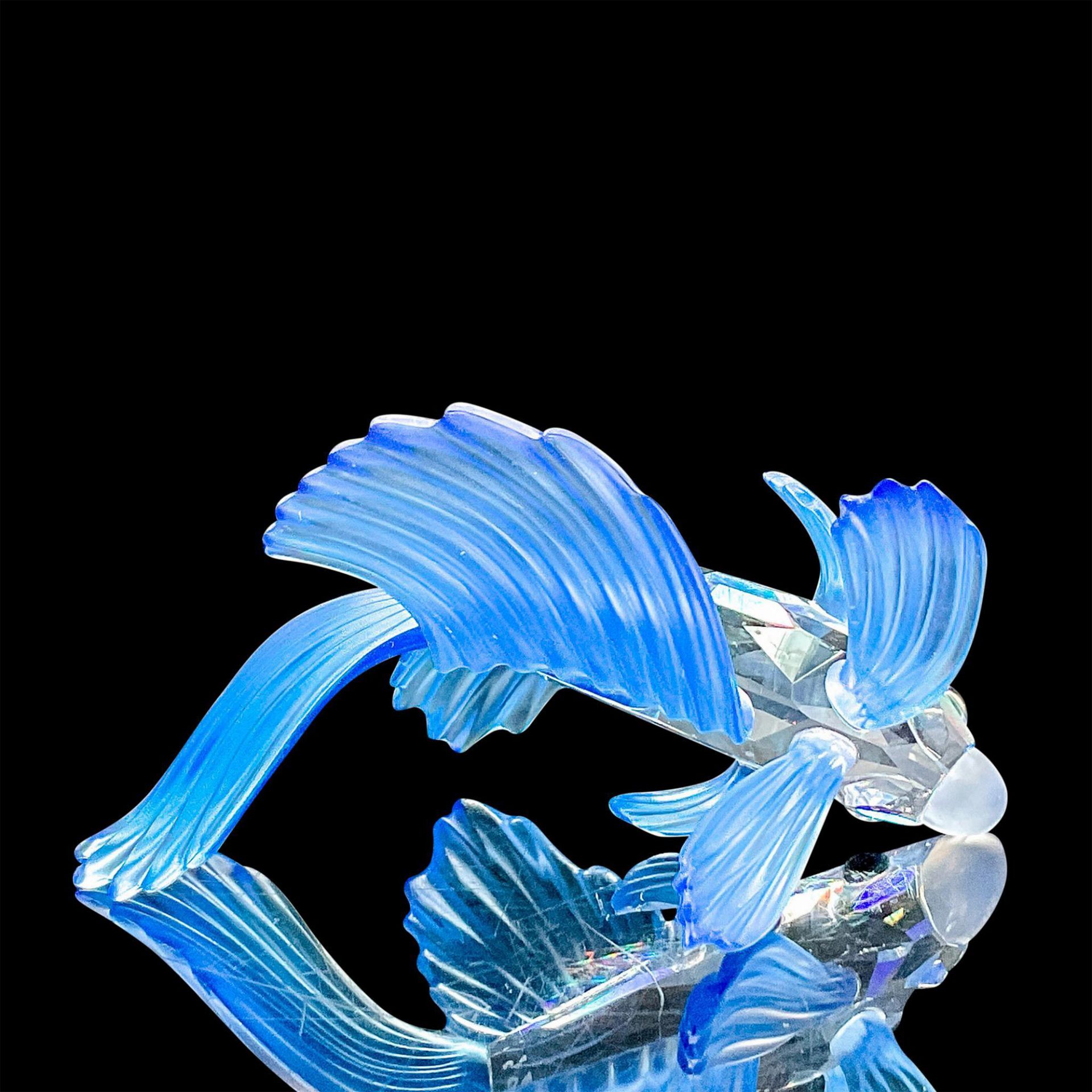 Swarovski Crystal Figurine, Blue Siamese Fighting Fish - Image 3 of 4