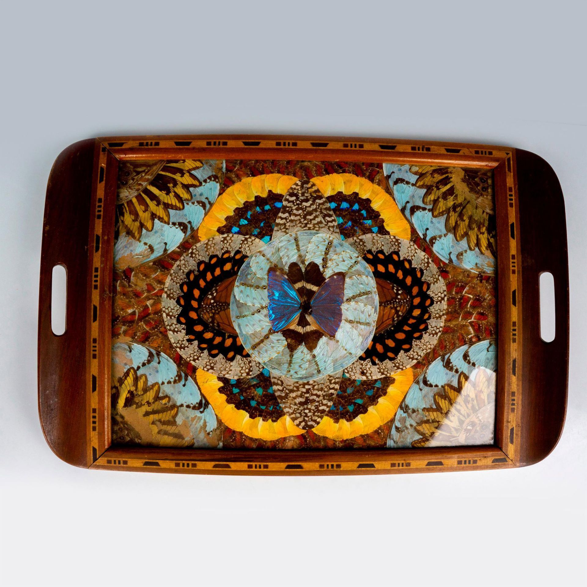 Brazilian Inlaid Tray Blue Morpho Butterfly Wings Design