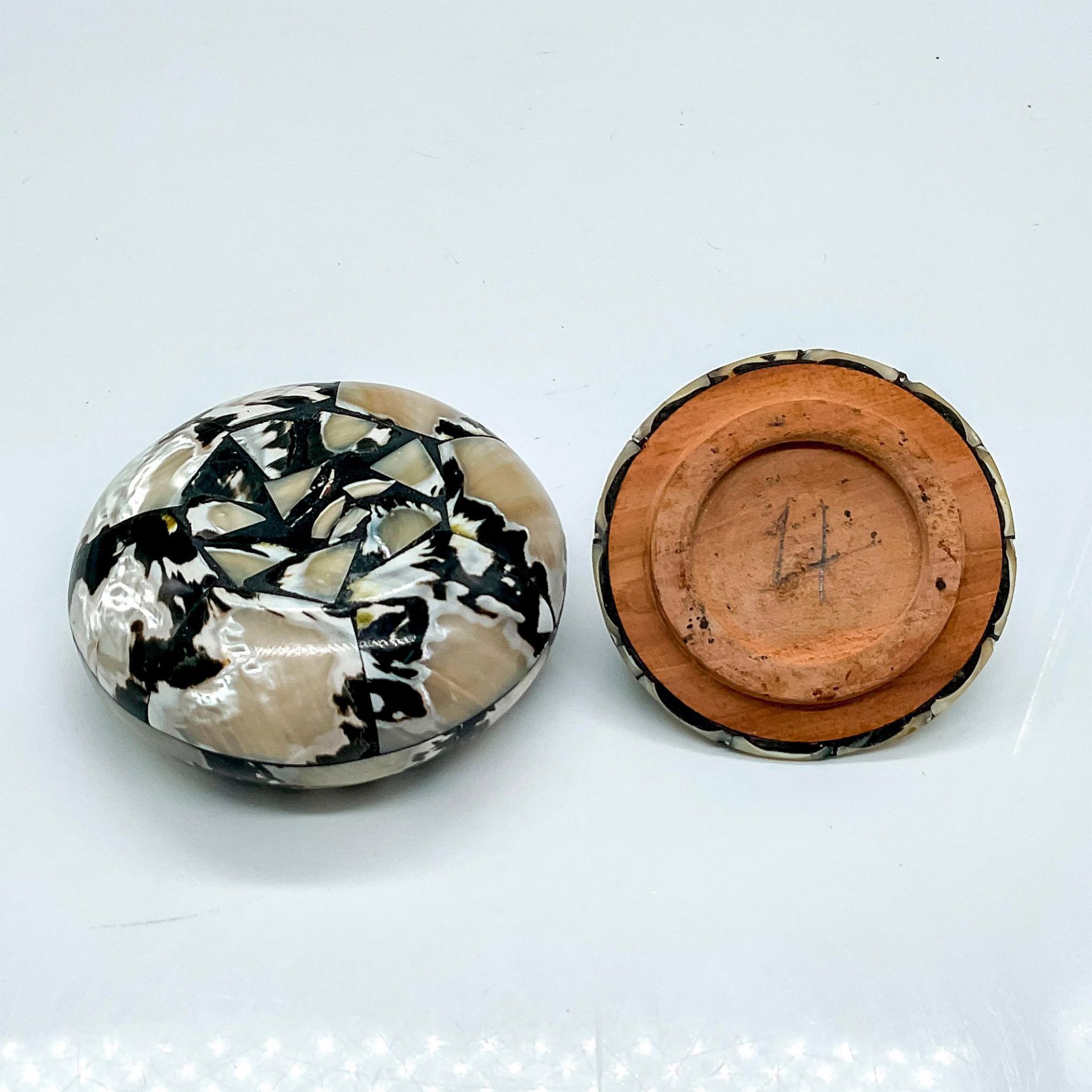 Cuban Magpie Shell Decorative Box - Bild 3 aus 3