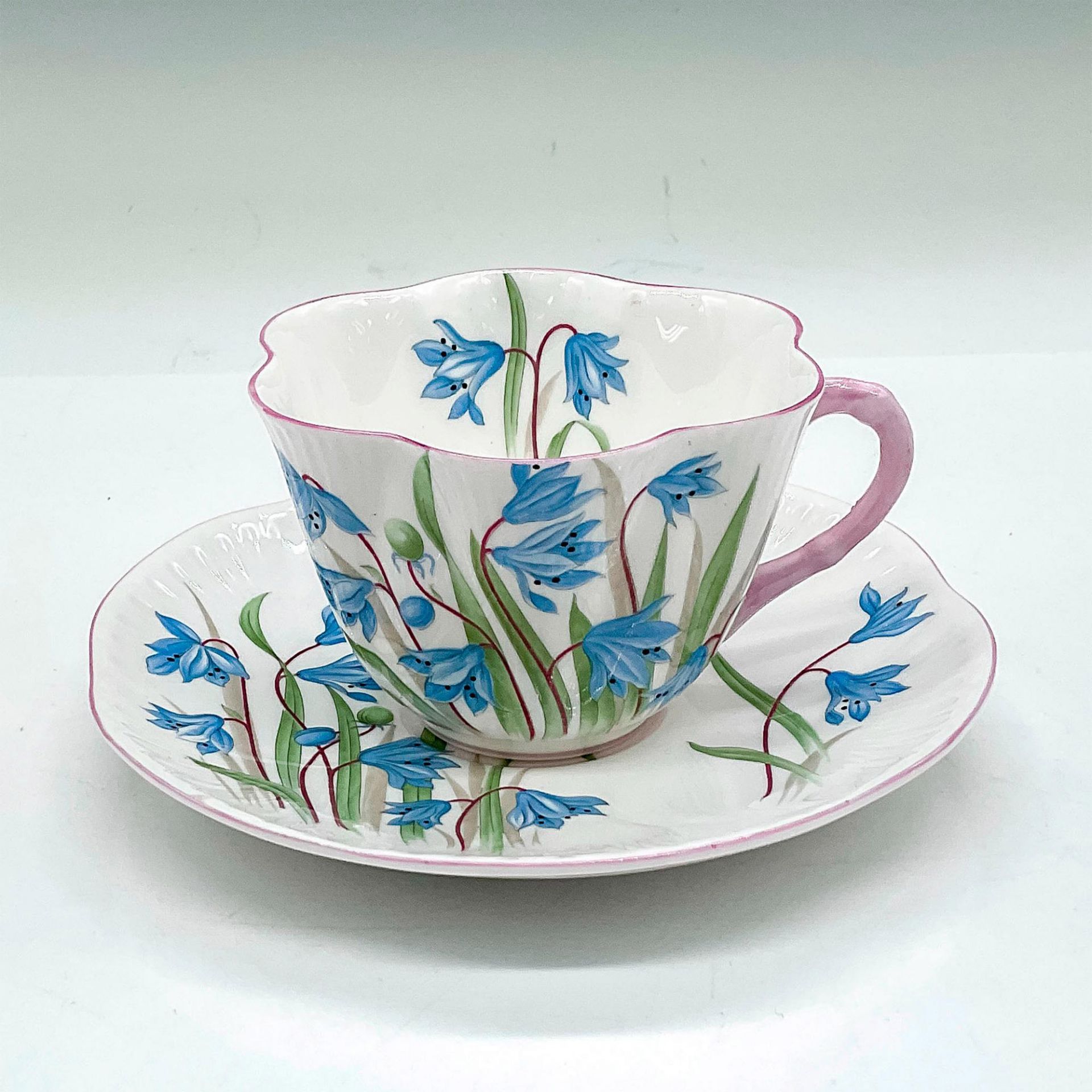 Shelley China Teacup and Saucer Set, Scilla