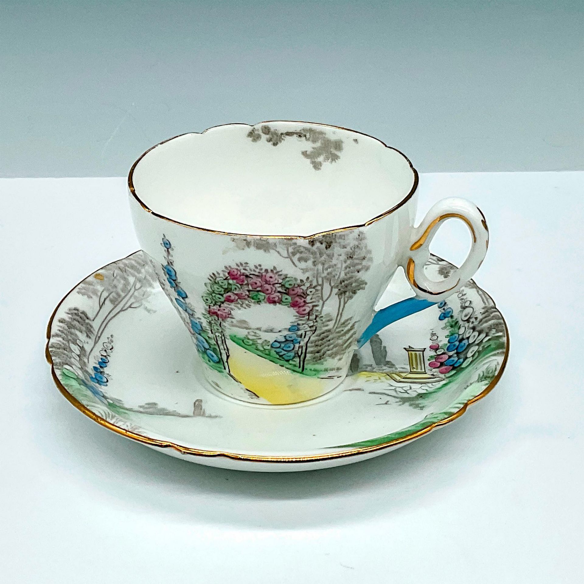 Shelley China Teacup and Saucer Set, Archway of Roses