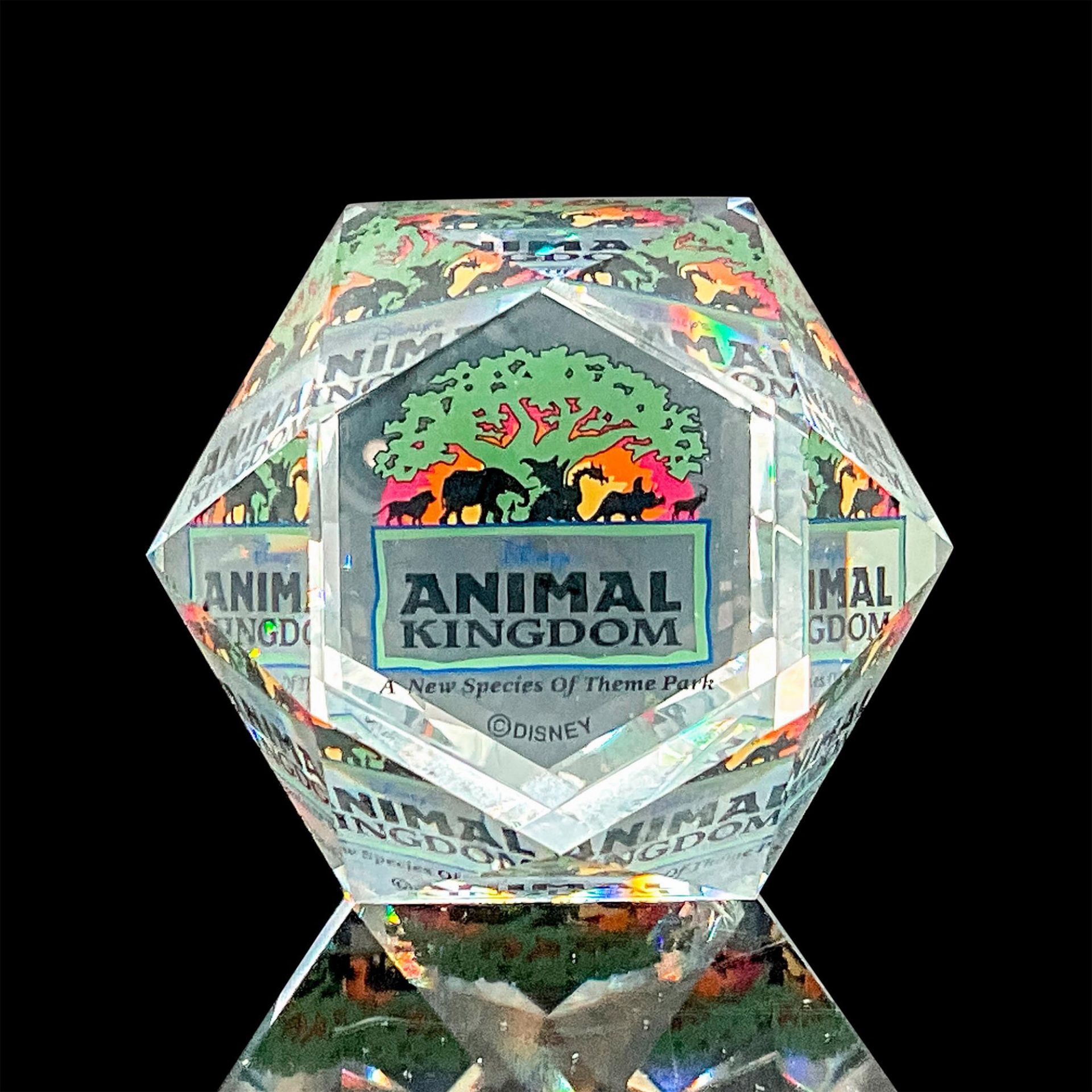 Swarovski Crystal Disney's Animal Kingdom Paperweight