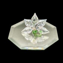 Swarovski SCS Crystal Figurine, Orchid Paperweight + Mirror Base