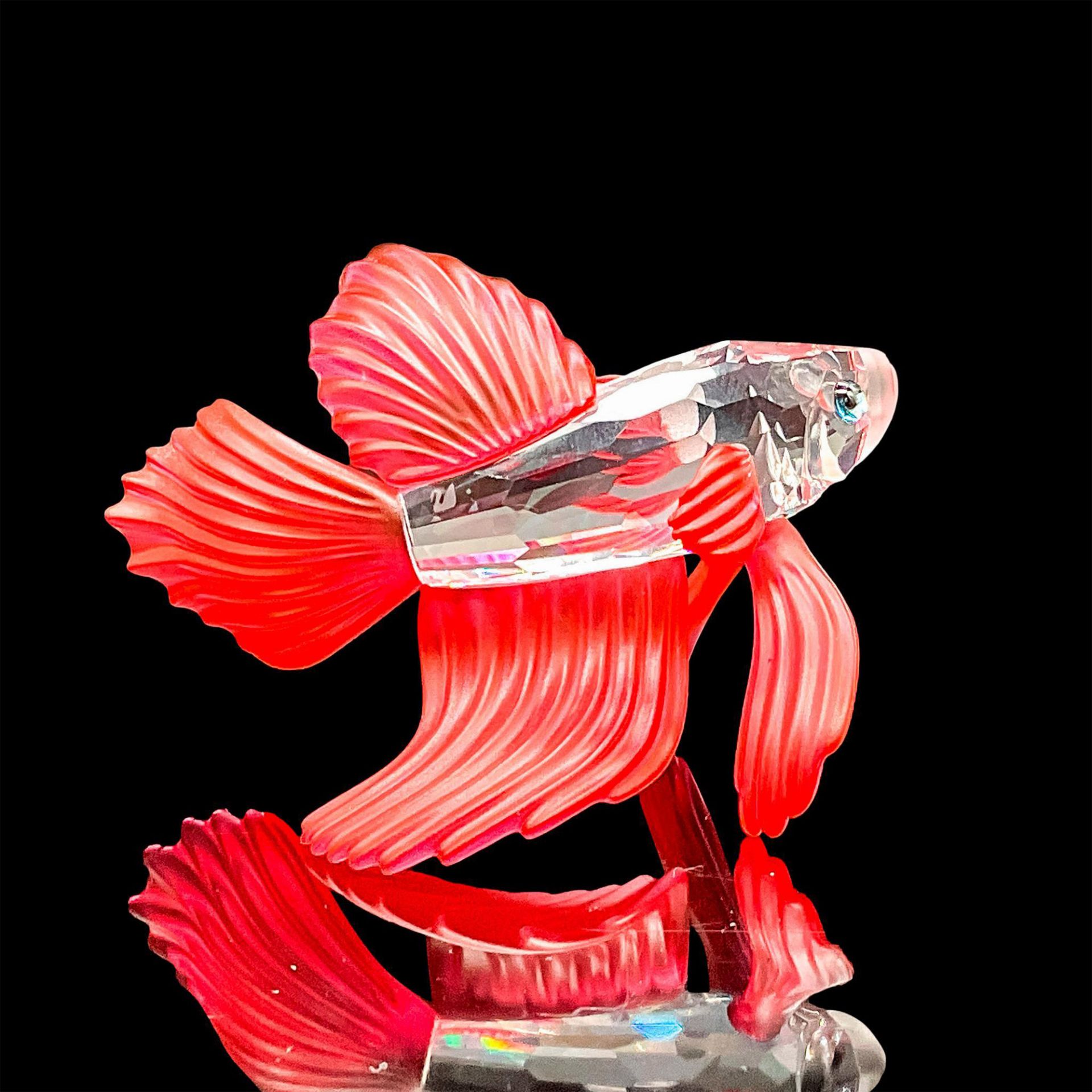 Swarovski Crystal Figurine, Siamese Fighting Fish Red - Image 2 of 3