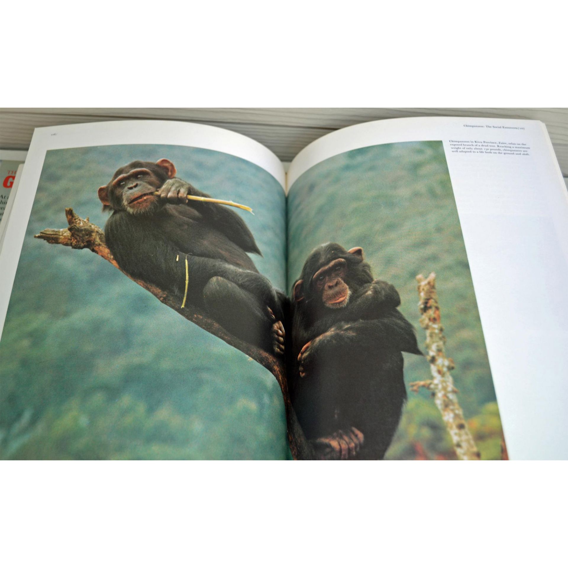 Seven Coffee Table Books, A Collection Of Birds, Animals, The National Audubon Society, The Great Ap - Image 7 of 8
