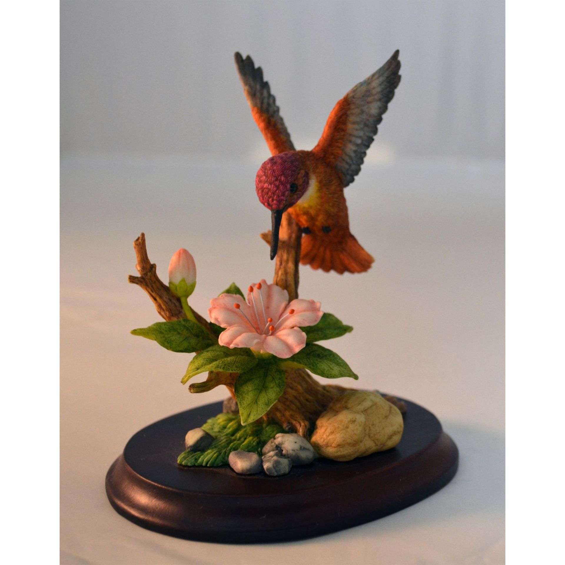 Maruri Premier Hummingbird Allen'S With Azalea Porcelain Bird Figurine On Base - Image 5 of 6