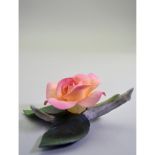 Boehm Porcelain Petite Pleasures Peach Rose