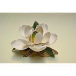 Boehm Porcelain Dixie Magnolia Floral