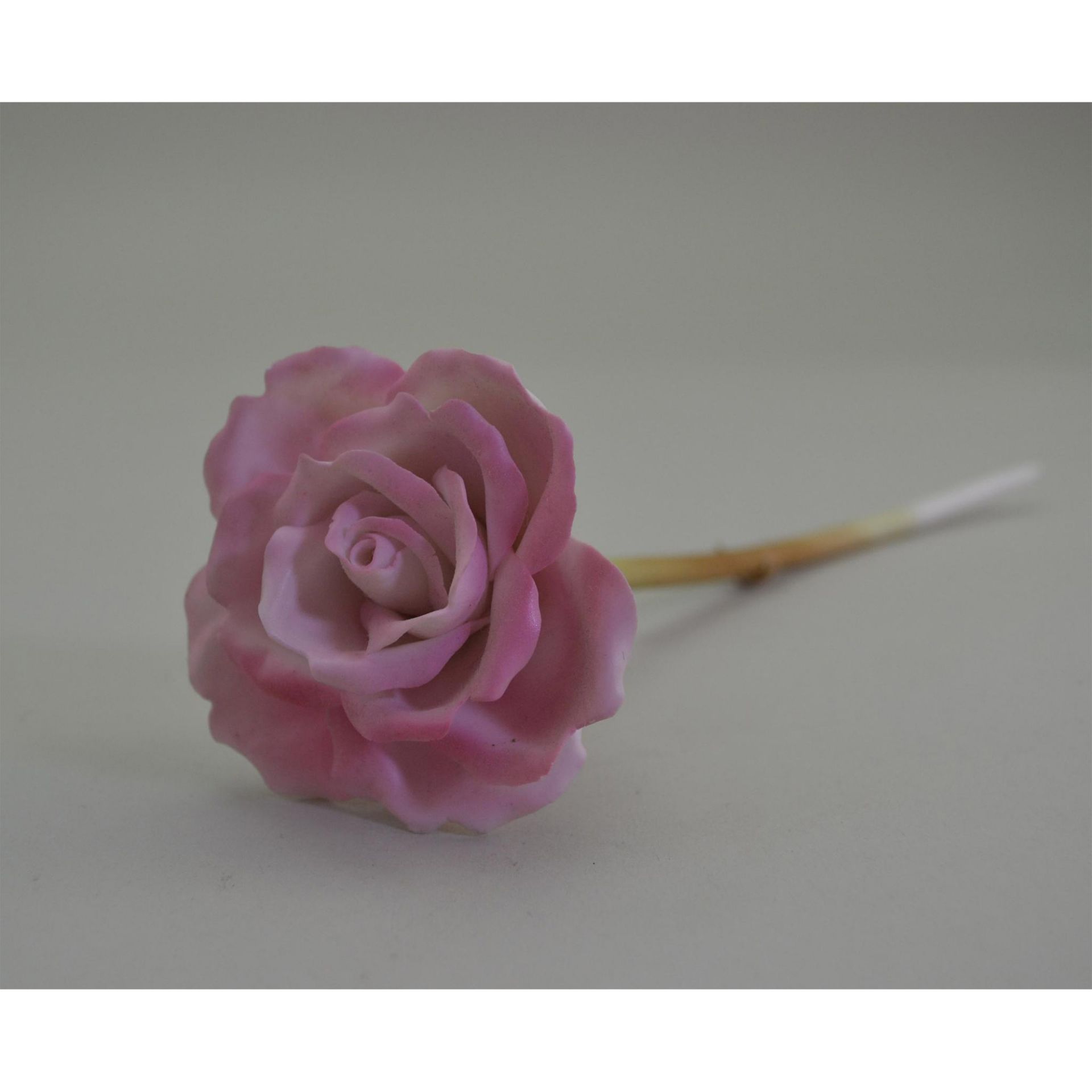 Royal Worcester Porcelain Pink Long Stemmed Rose