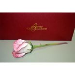 Bronte' Porcelain Of Uk Long Stem Pink Rose, Original Box