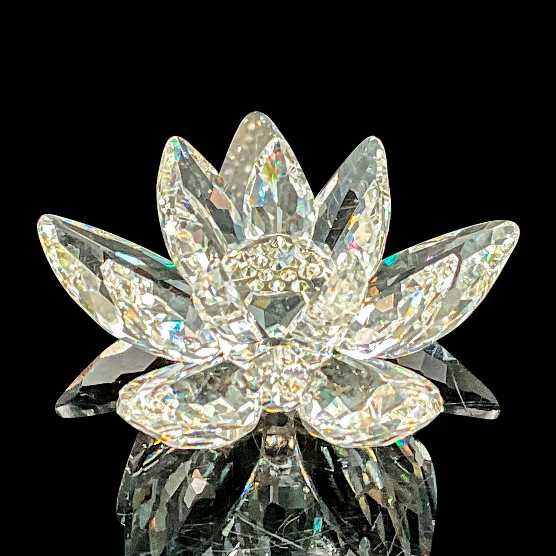 Swarovski Crystal Figurine, Water Lily Small