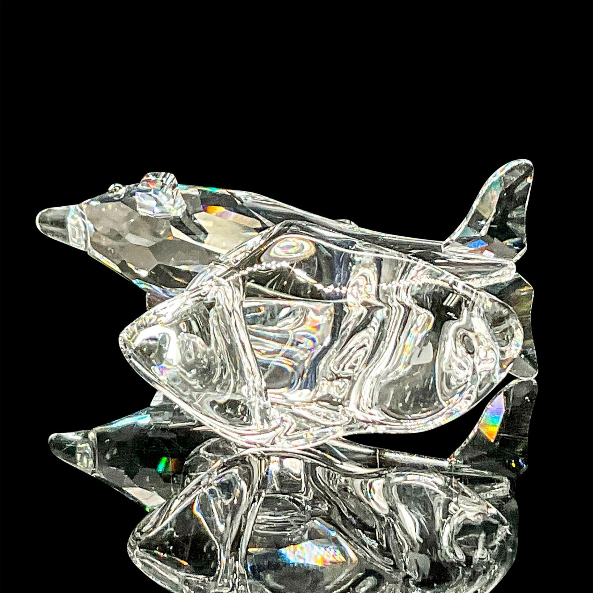 Swarovski Crystal Figurine, Baby Dolphin - Image 3 of 4