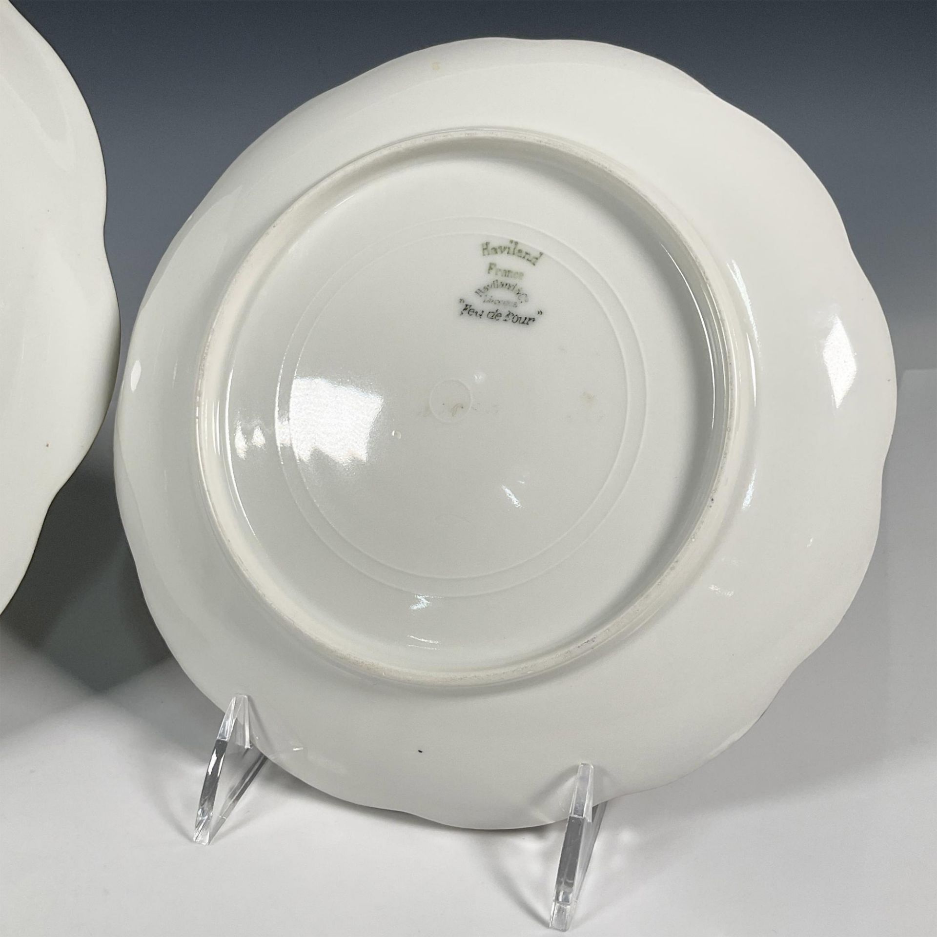 2pc Haviland & Co. Decorative Limoges Plates, Dandelions - Image 6 of 6