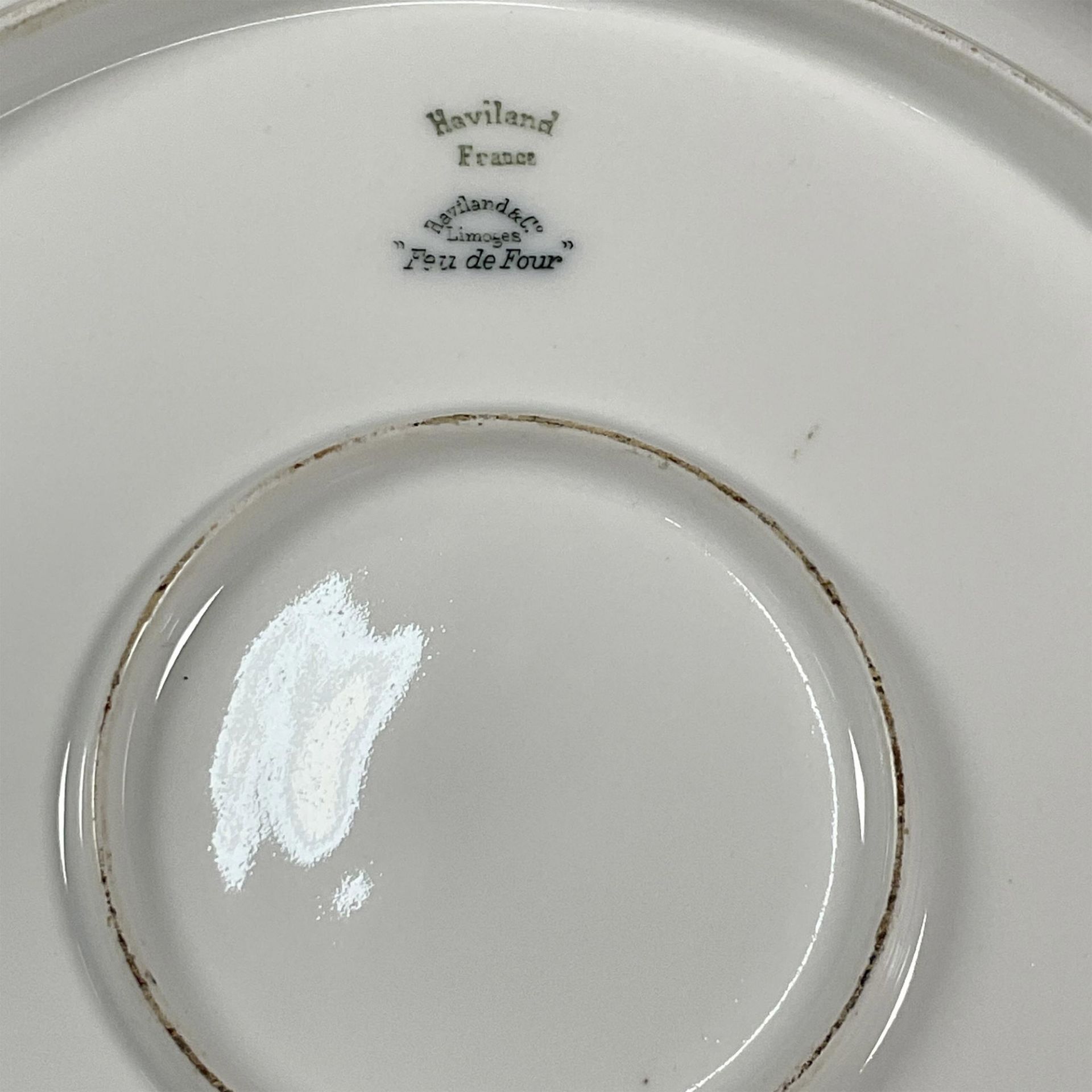 2pc Haviland & Co. Decorative Limoges Plates, Dandelions - Image 5 of 6