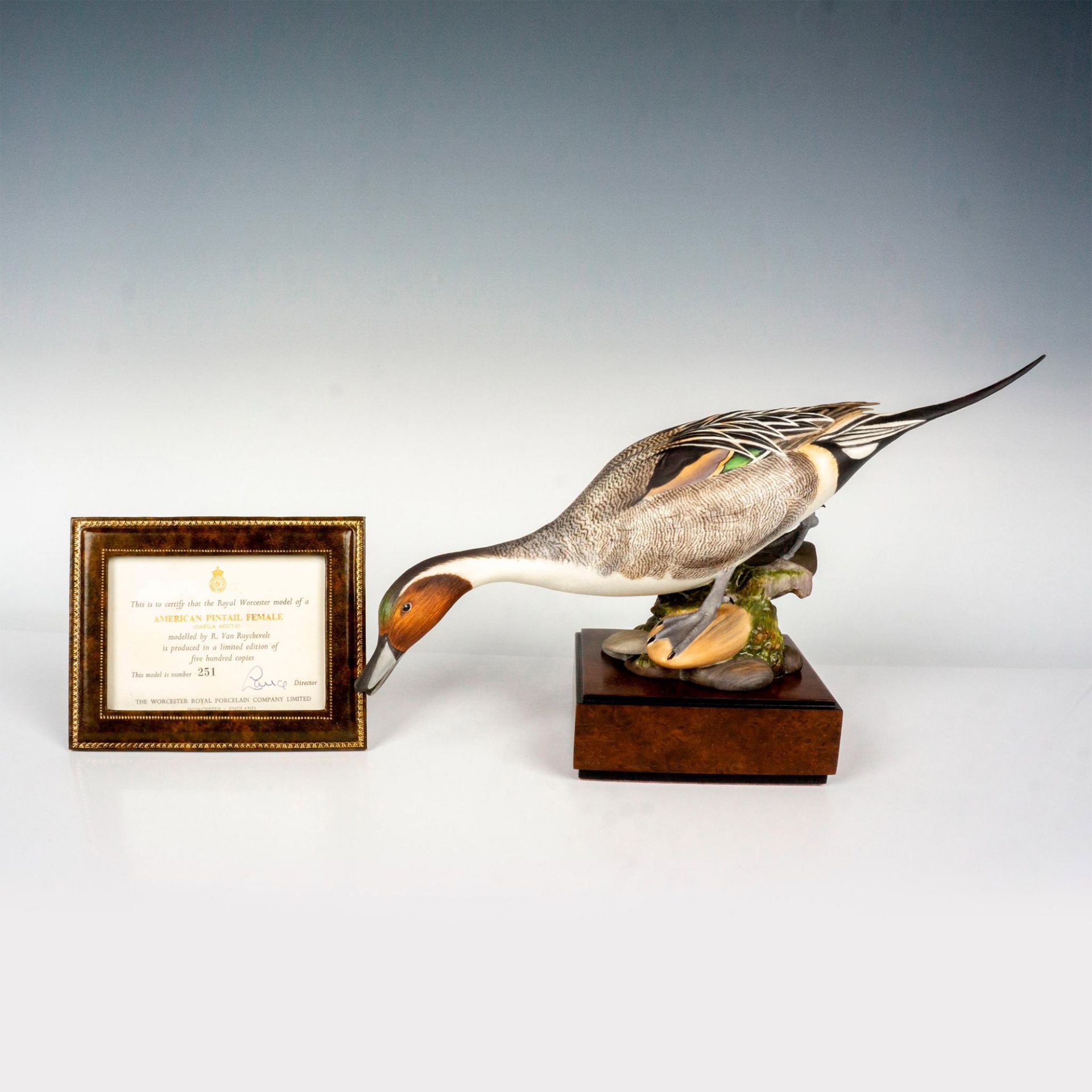 Royal Worcester Sculpture, American Pintail Female - Bild 4 aus 4