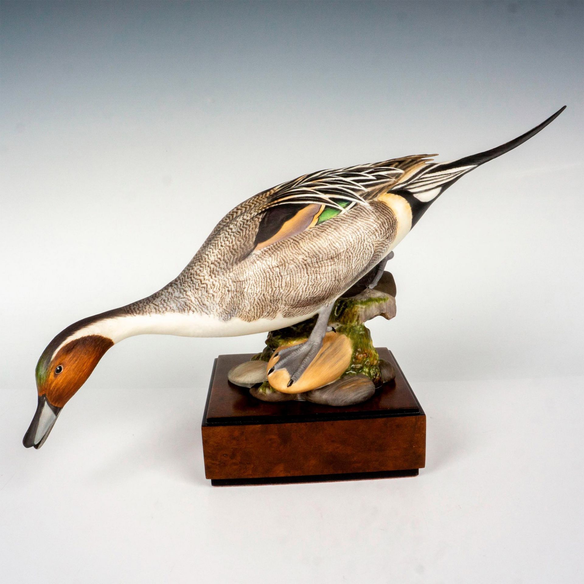 Royal Worcester Sculpture, American Pintail Female