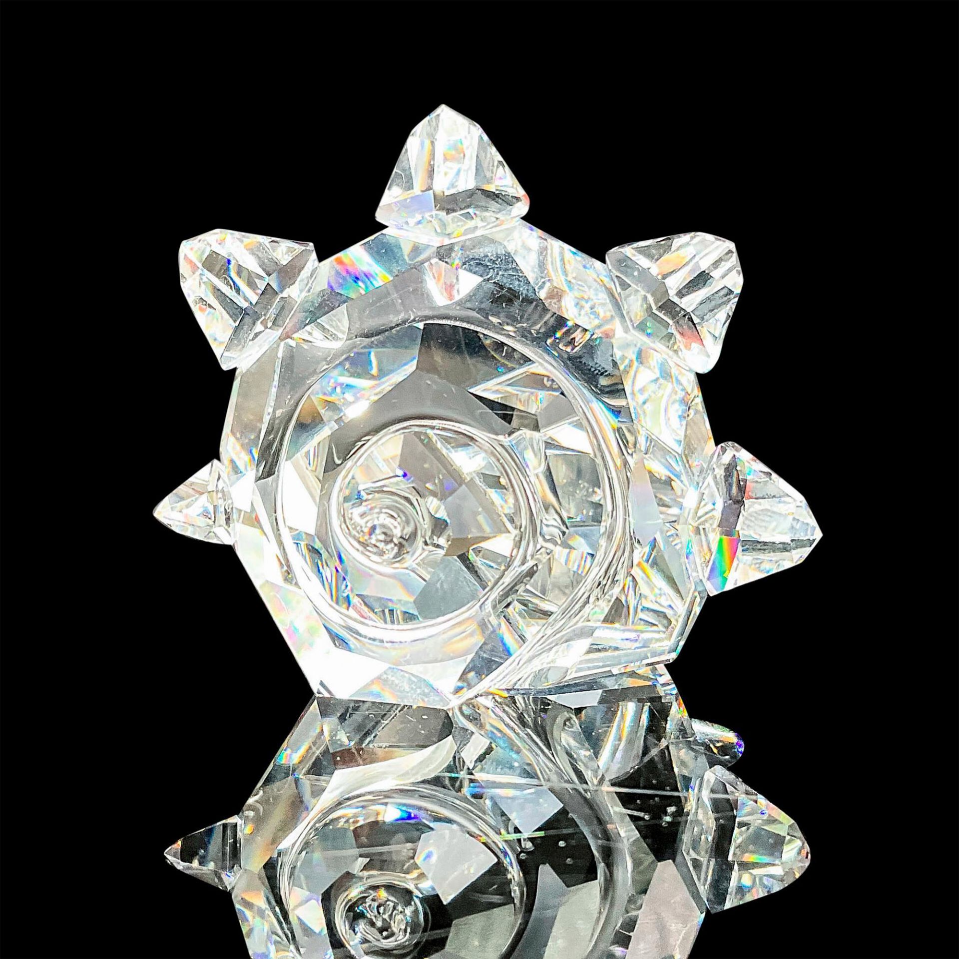 Swarovski Silver Crystal Figurine, South Sea Shell