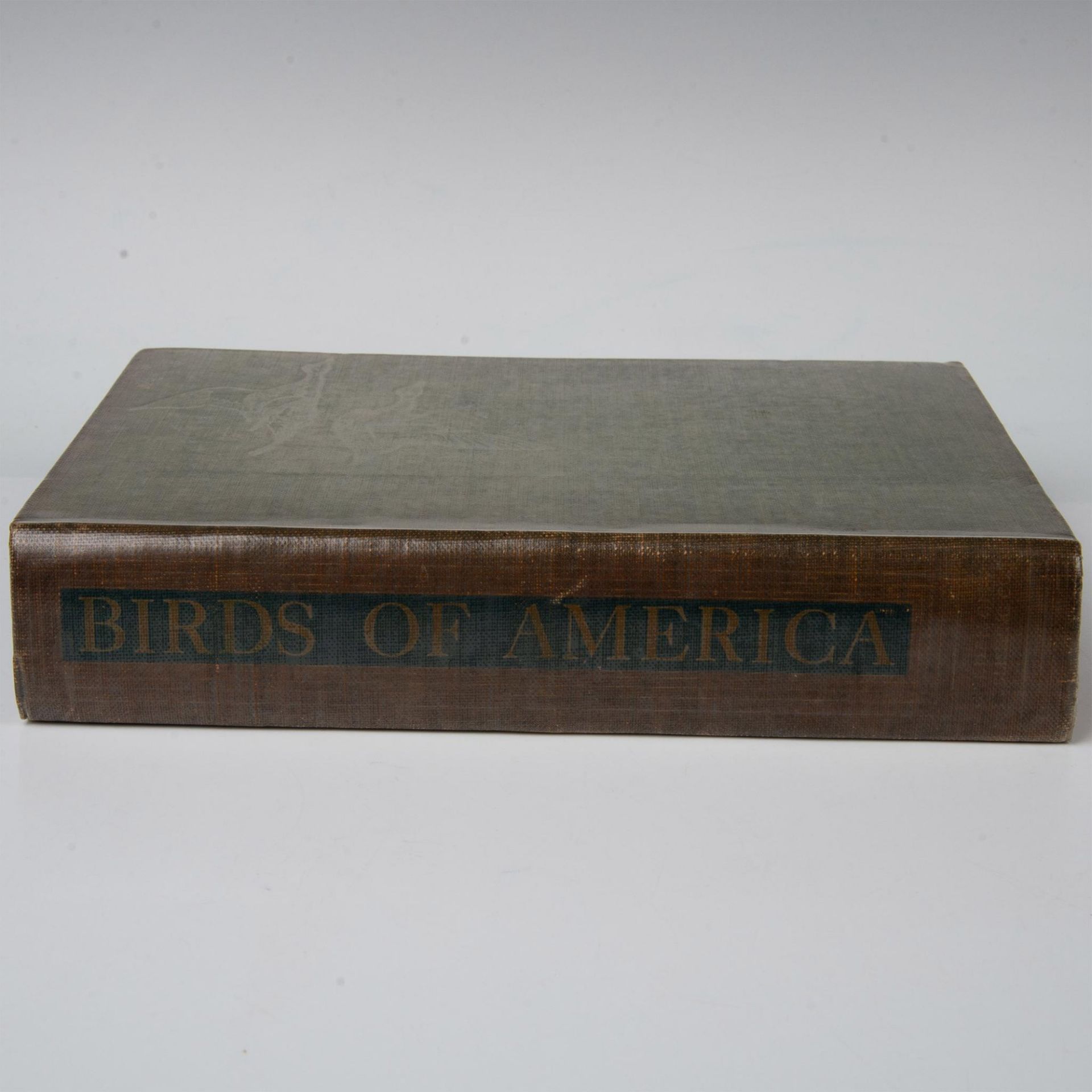 Birds of American, Hardcover Book by T. Gilbert Pearson