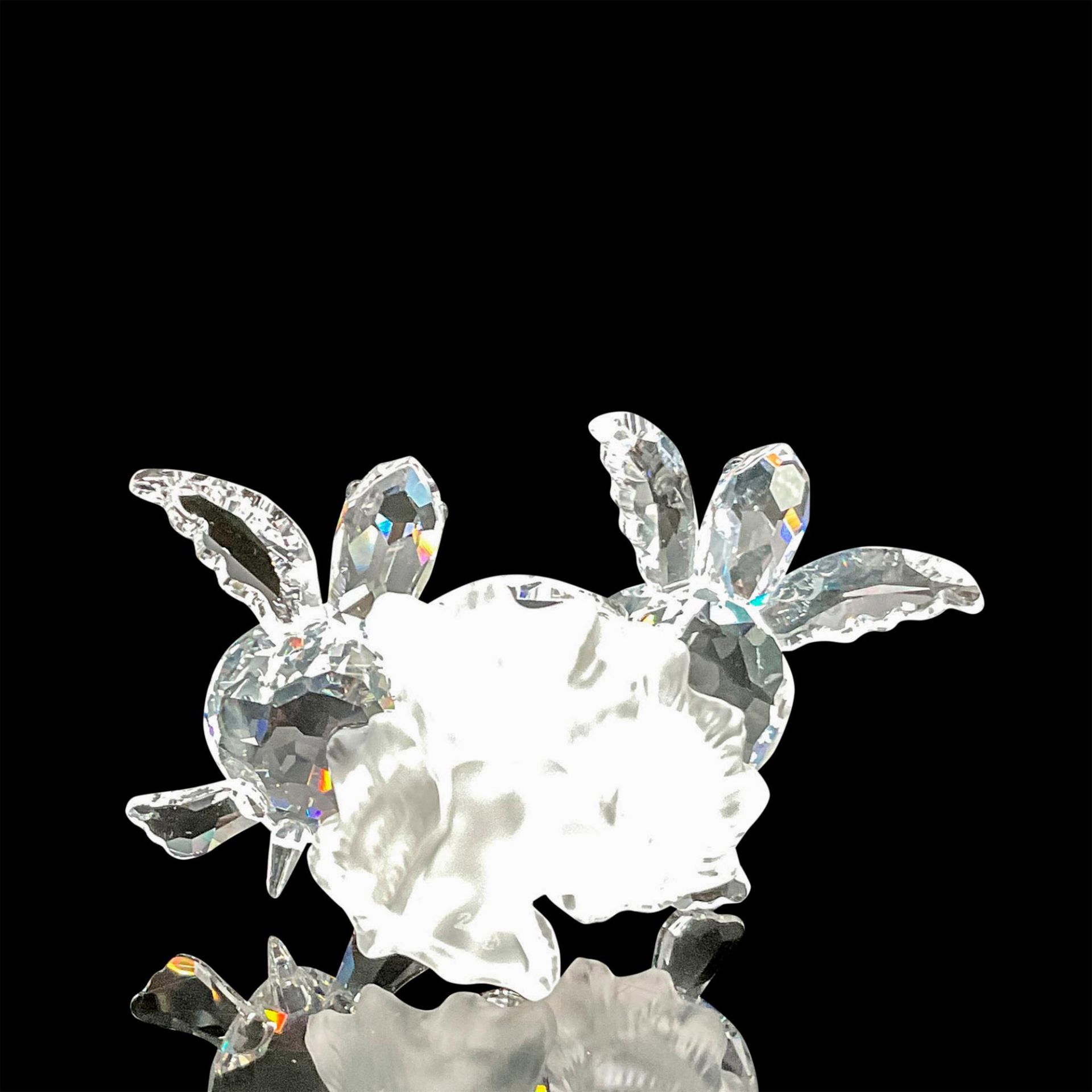 Swarovski Crystal Figurine, Baby Sea Turtles - Image 4 of 5