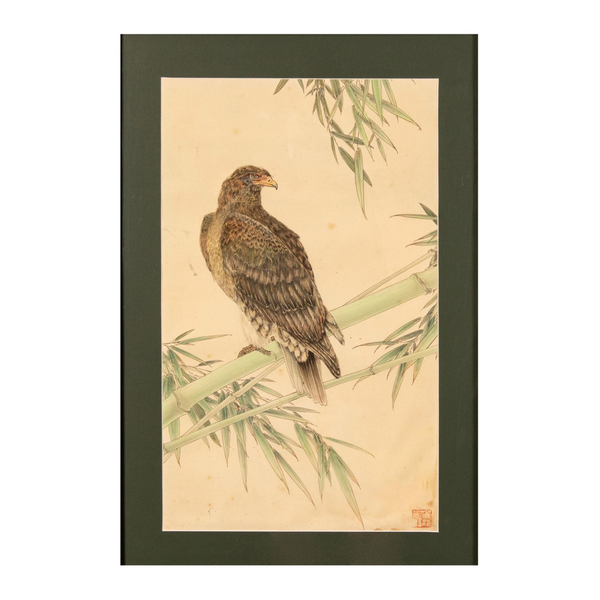 Original Chinese Ink and Color on Paper, Eagle, Signed - Image 2 of 5
