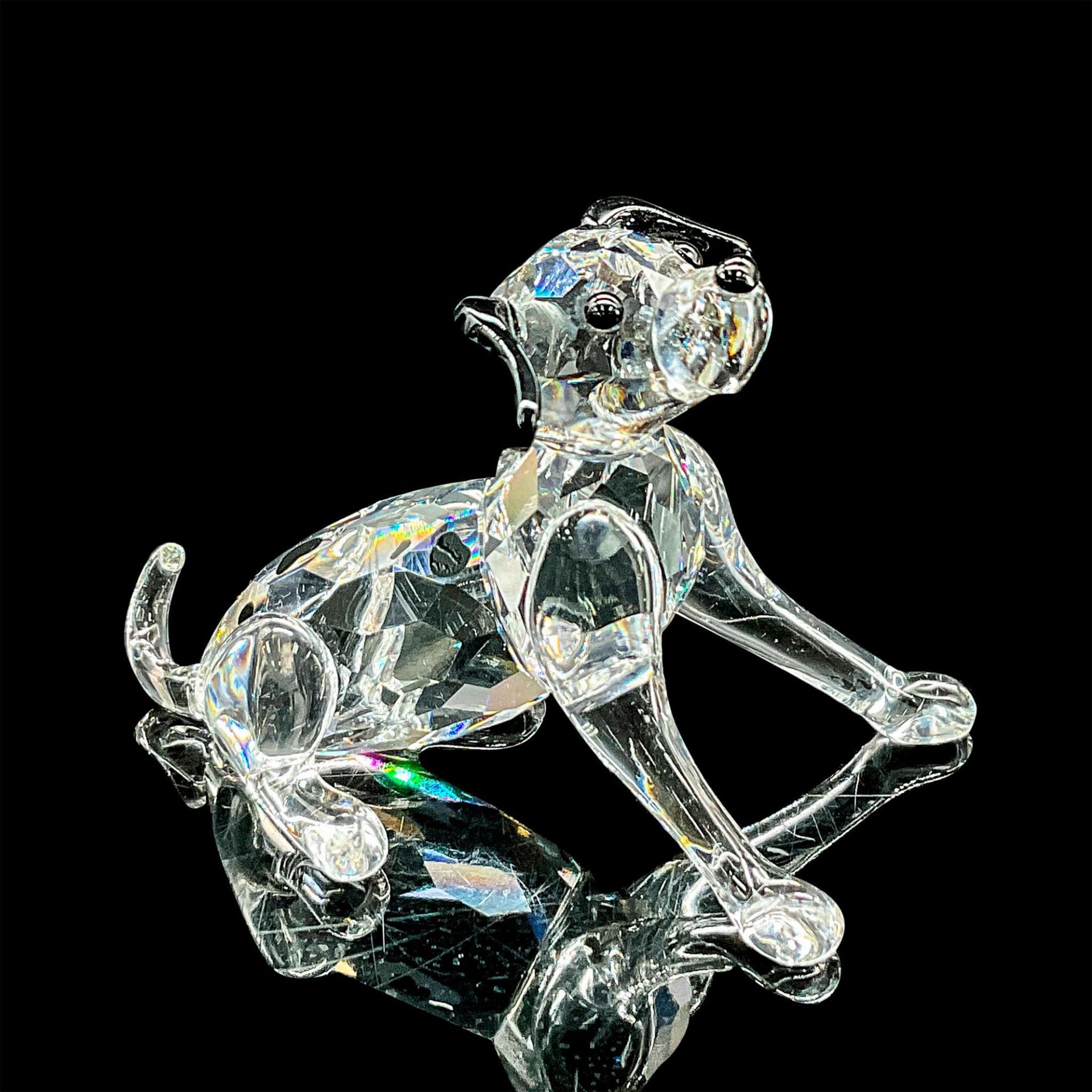 Swarovski Silver Crystal Figurine, Dalmatian Puppy Sitting - Image 2 of 5