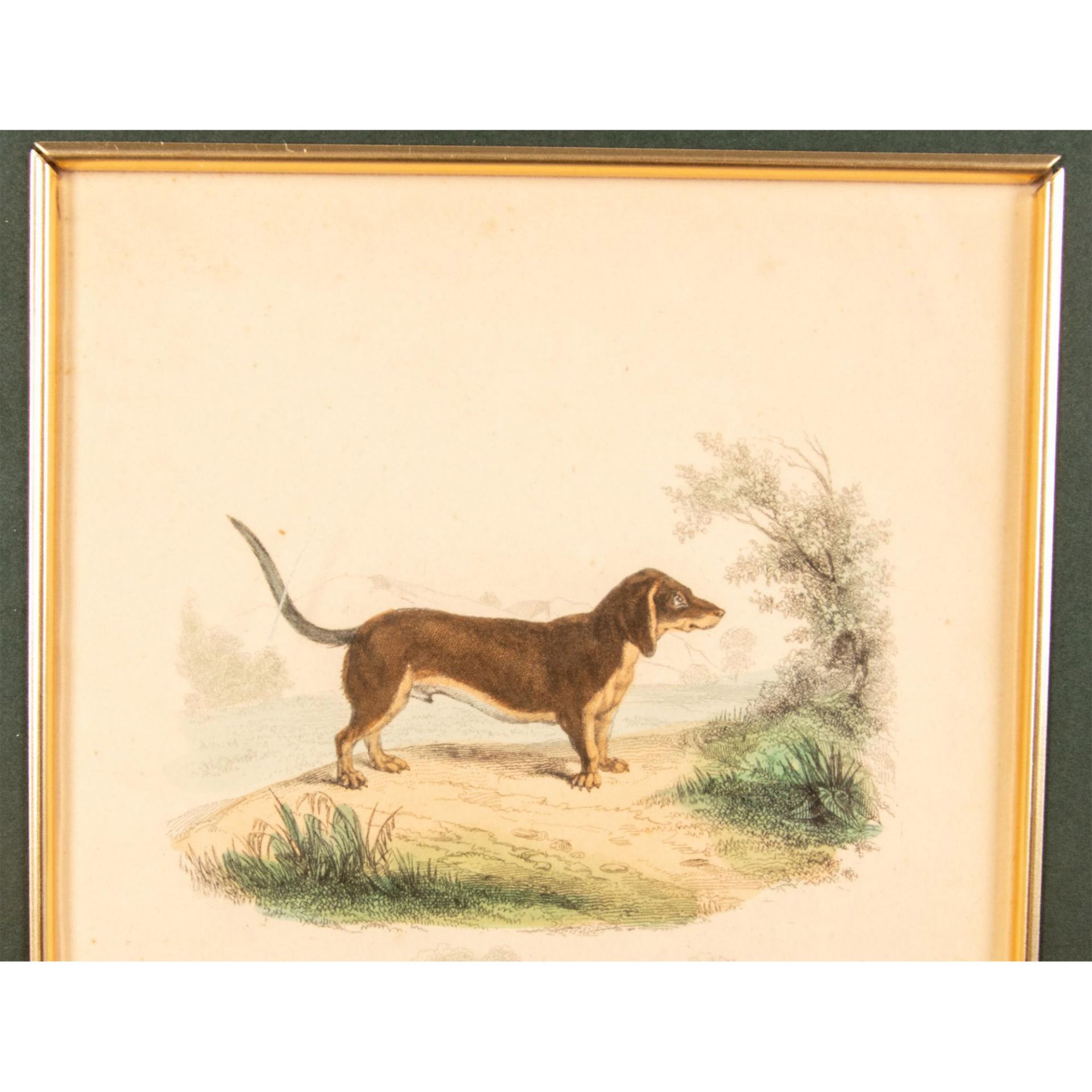 Original Hand Colored Lithograph on Paper, Two Dogs - Bild 5 aus 6