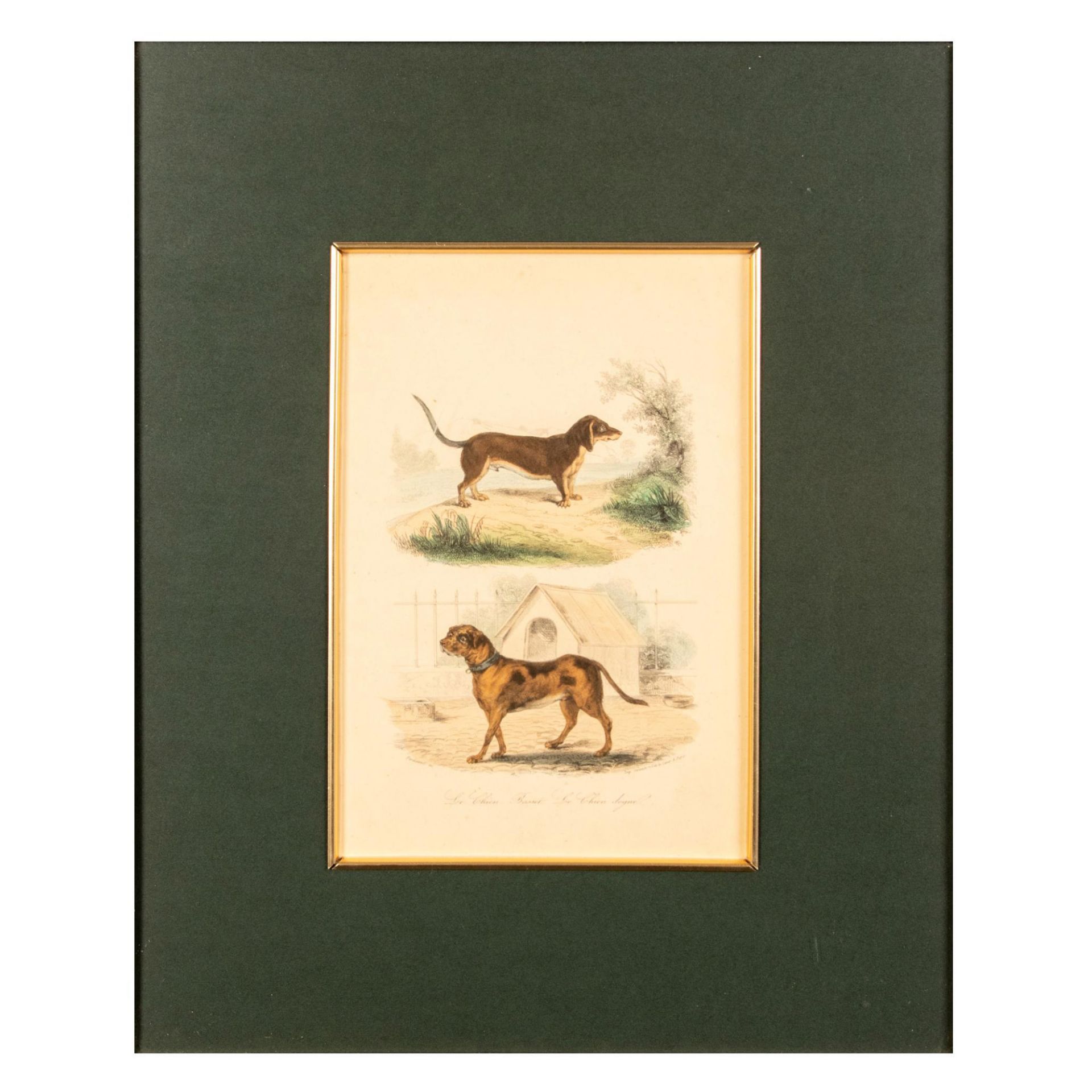 Original Hand Colored Lithograph on Paper, Two Dogs - Bild 2 aus 6