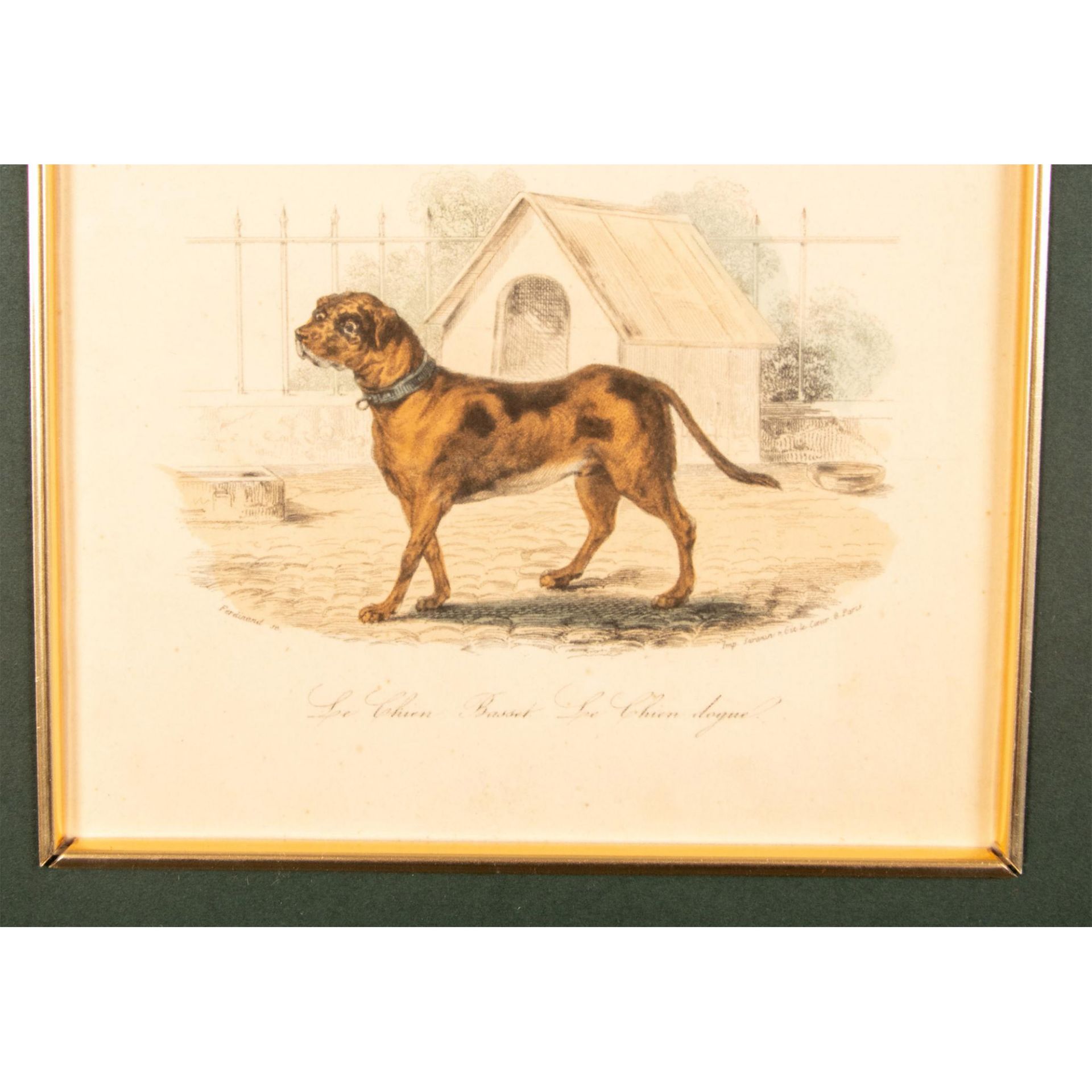 Original Hand Colored Lithograph on Paper, Two Dogs - Bild 4 aus 6