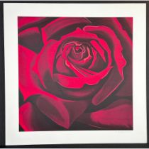 Lowell Nesbitt (American) 1933-1993 Rose, signed