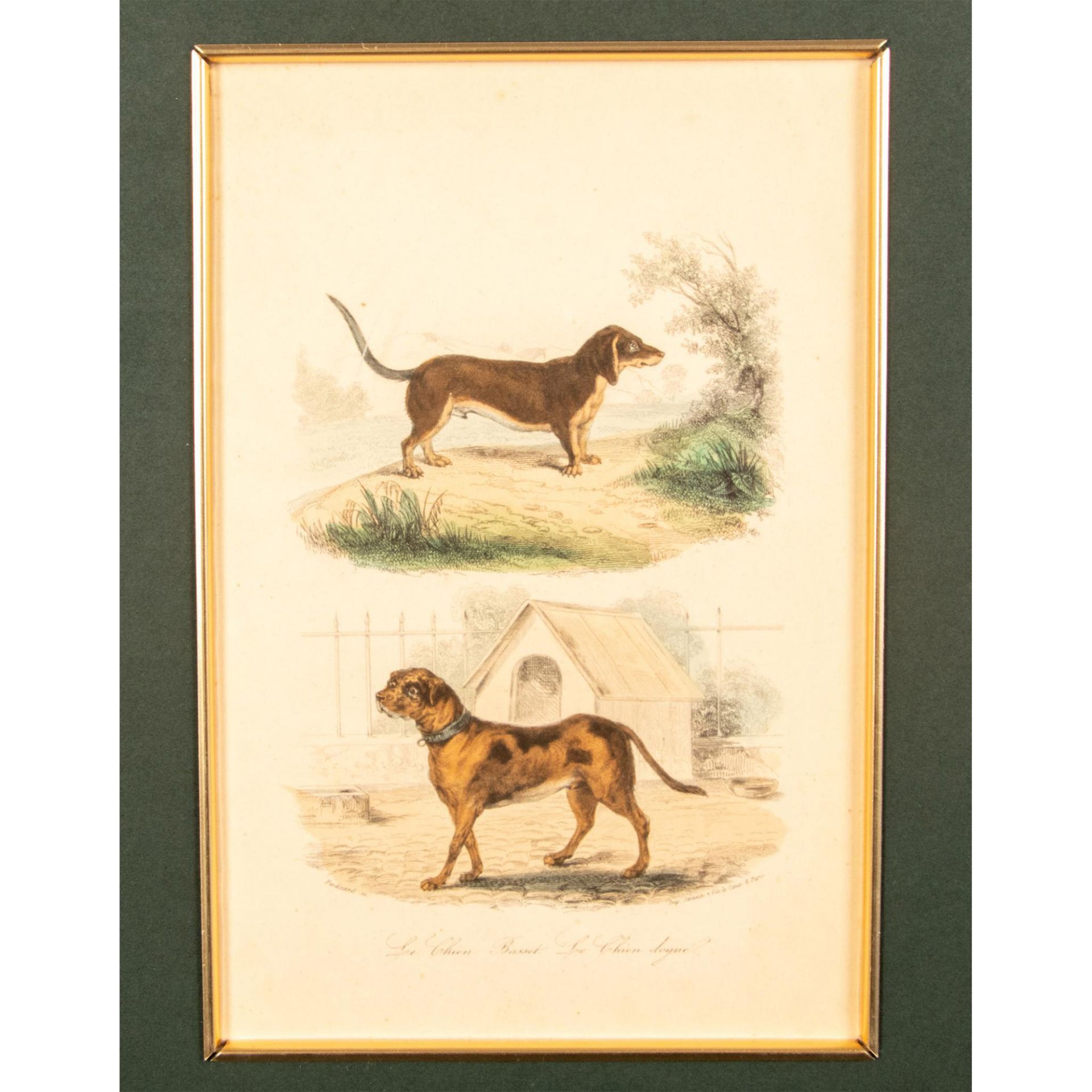Original Hand Colored Lithograph on Paper, Two Dogs - Bild 3 aus 6