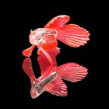 Swarovski Crystal Animal Figurine, Siamese Fighting Fish Red
