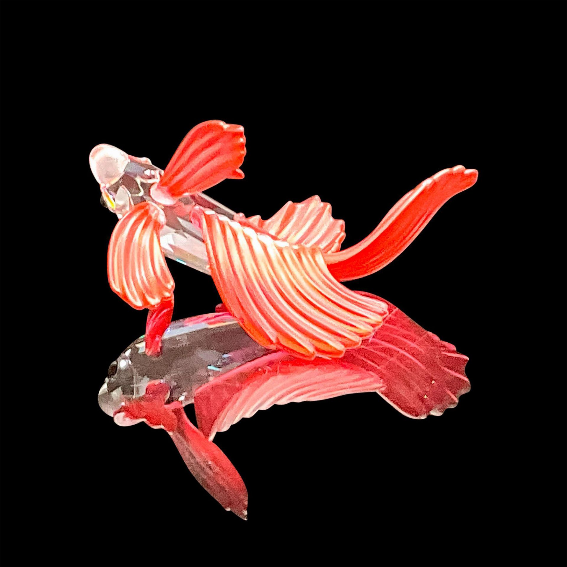 Swarovski Crystal Animal Figurine, Siamese Fighting Fish Red - Image 3 of 4